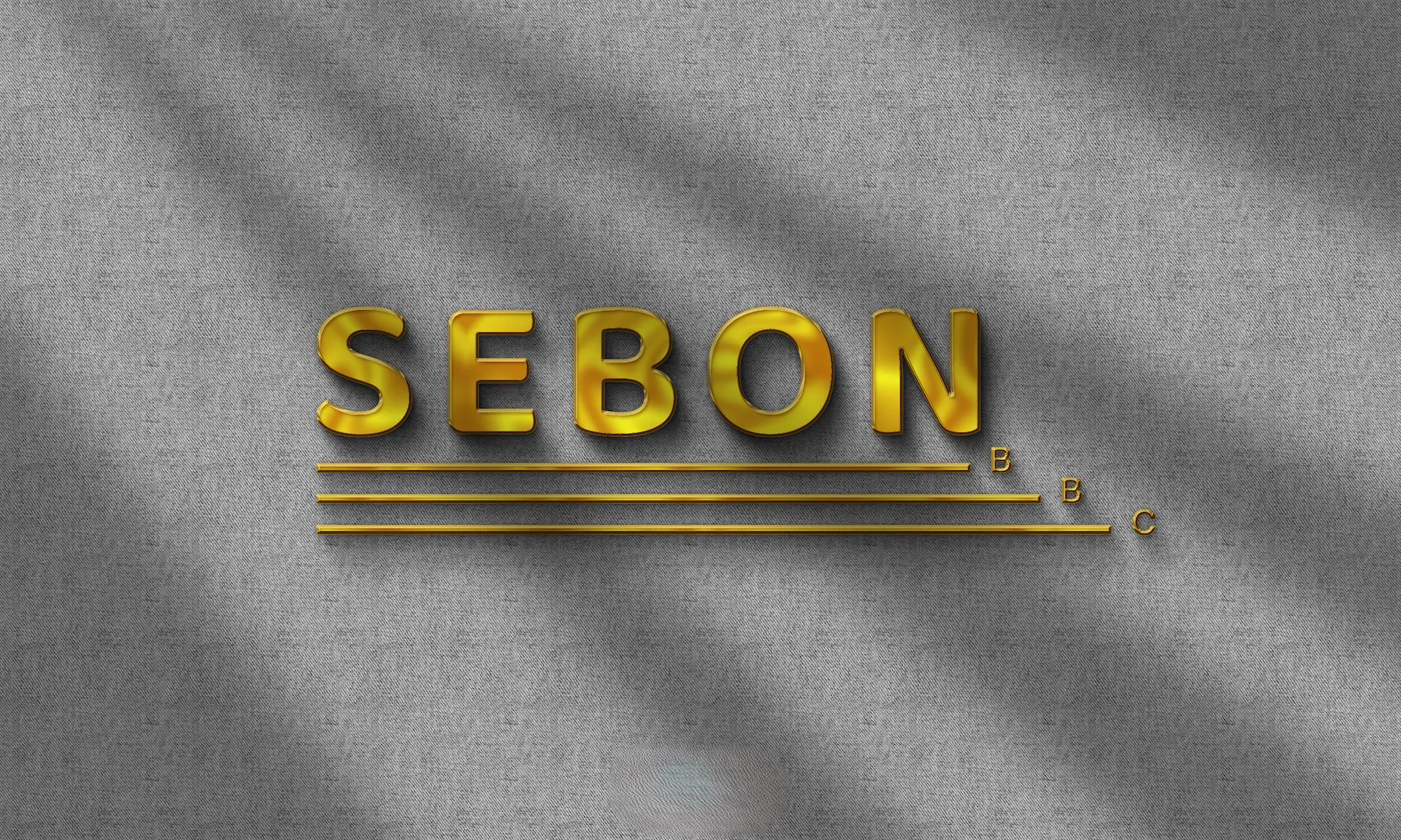 Logo Sebon-Affiche